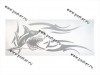 Наклейка Стикер на боковое стекло Акула 46х40см серебро 2шт 47840