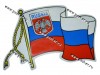 Наклейка Флаг RUSSIA 11х15см 5285