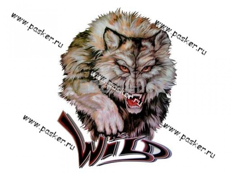 Наклейка Волк Wild 50х35см 43428