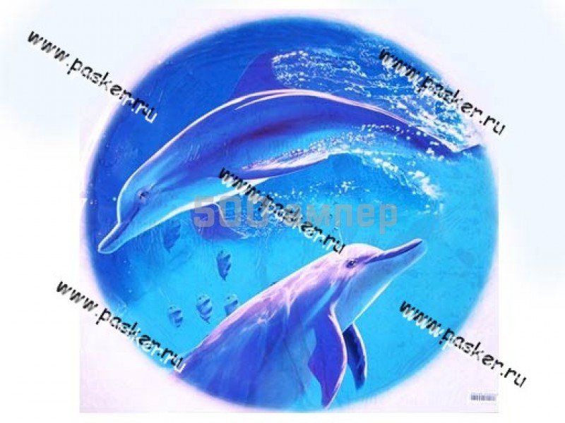 Наклейка на запасное колесо Дельфины R56,5см 43415